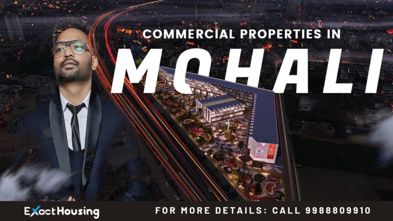 Commercial Properties in Mohali